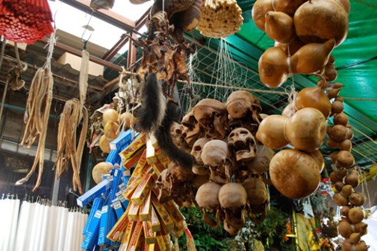 Chamán Africano y Vidente